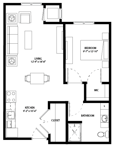 Springboro_Lilac-01