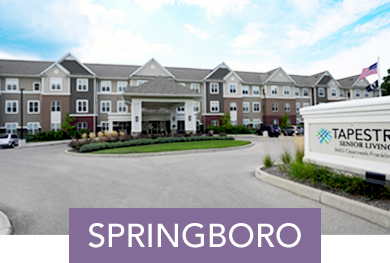 TSL_SPRINGBORO-LIGHTER